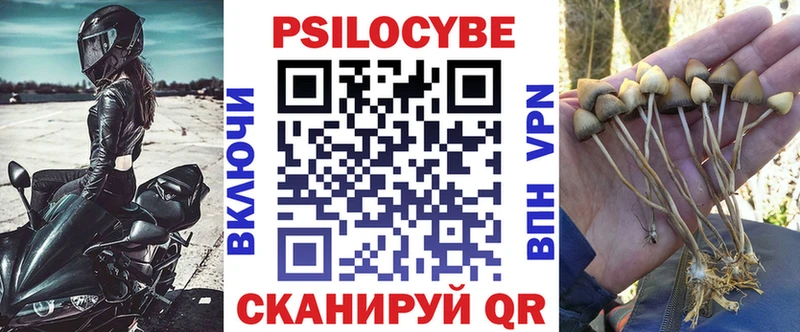 где можно купить   Сорск  hydra онион  Псилоцибиновые грибы Magic Shrooms 